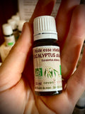 Huile essentielle d'eucalyptus globuleux