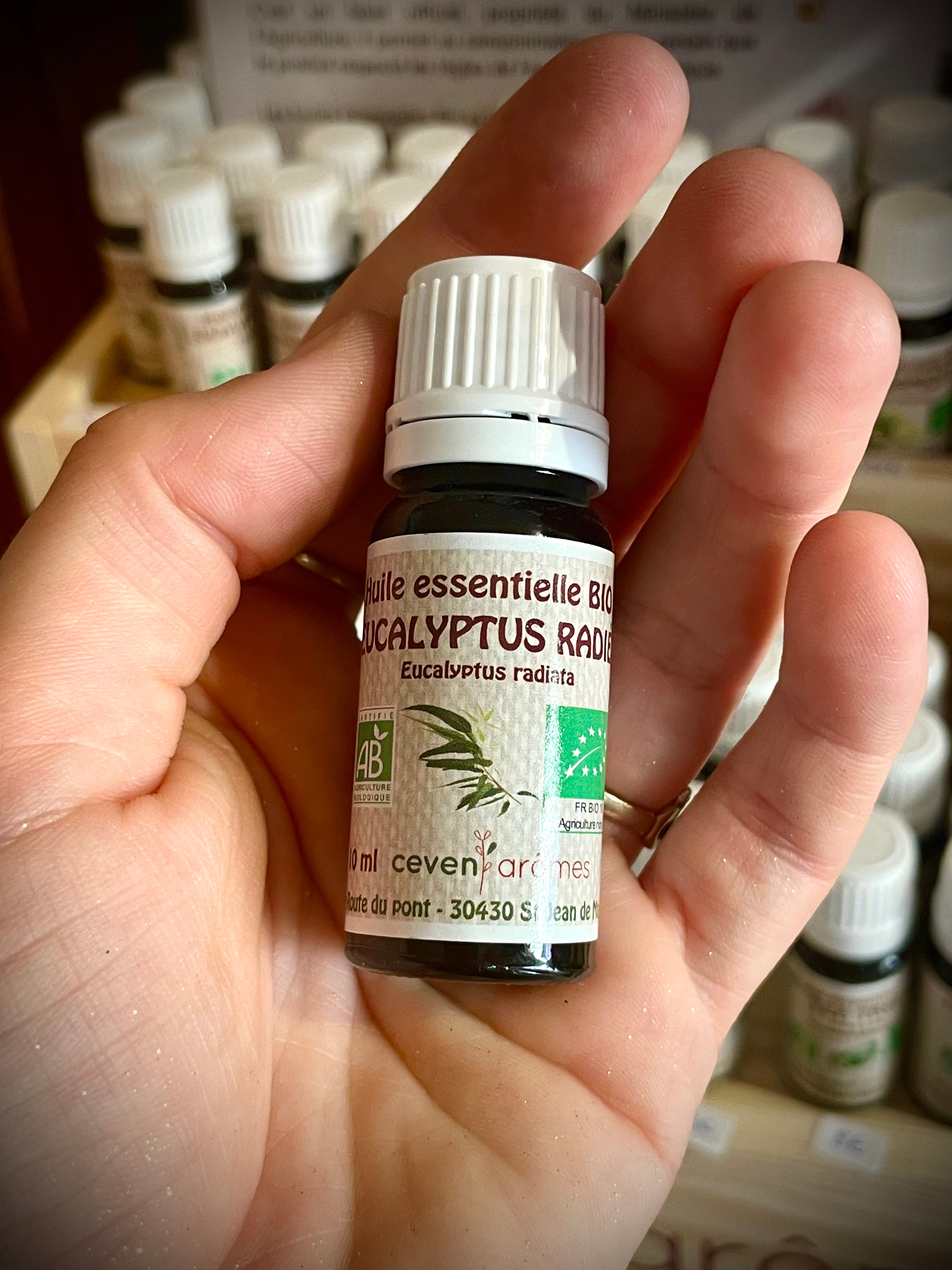 Huile essentielle d'eucalyptus radié