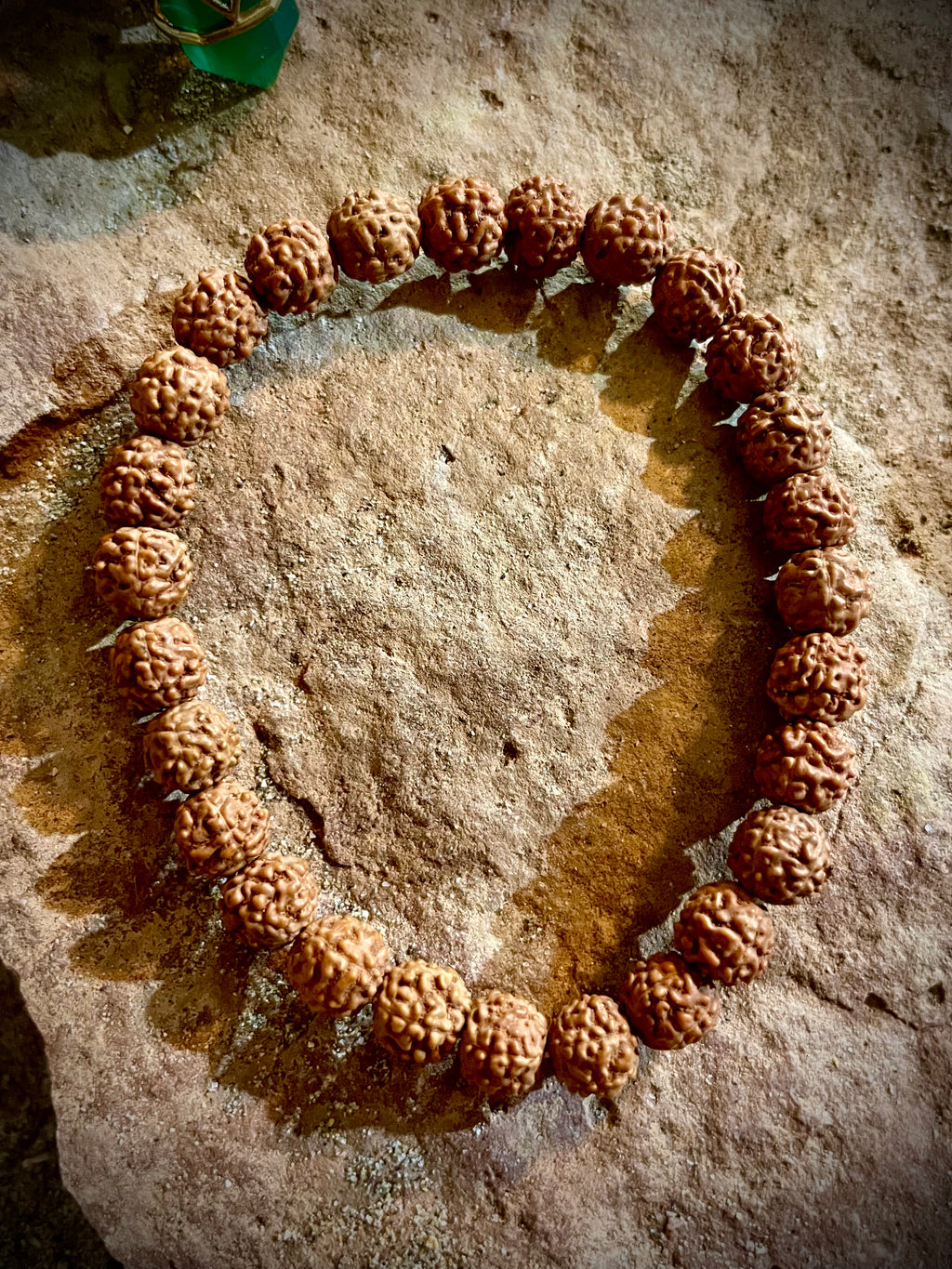 Bracelet graines de Rudraksha