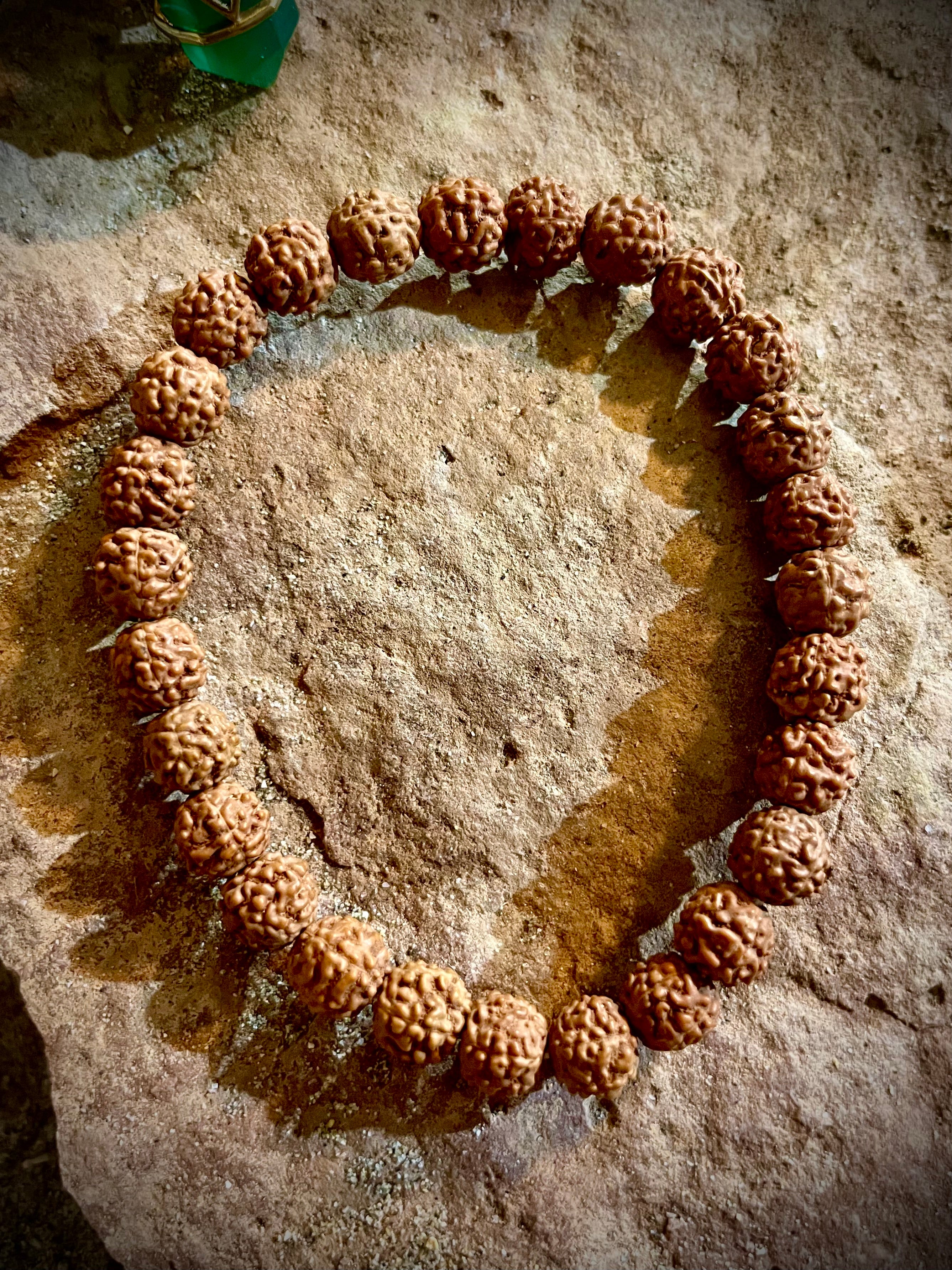 Bracelet graines de Rudraksha